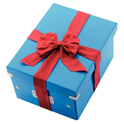 Artikelbild 8 für AKTION: LEITZ Click & Store Aufbewahrungsbox 16,7 l blau 28,1 x 36,9 x 20,0 cm mit Prämie nach Registrierung, Artikelnummer 127340