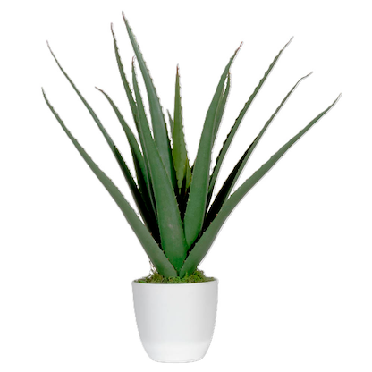 Artikelbild 17 für meet powered by PAPERFLOW ALOE VERA Kunstpflanze 45,0 cm, Artikelnummer 521787