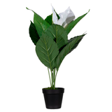 Artikelbild 1 für meet powered by PAPERFLOW EINBLATT Kunstpflanze 55,0 cm, Artikelnummer 521797