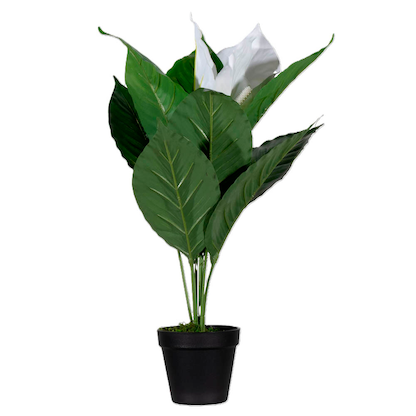 Artikelbild 18 für meet powered by PAPERFLOW EINBLATT Kunstpflanze 55,0 cm, Artikelnummer 521797