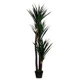 Artikelbild 1 für meet powered by PAPERFLOW YUCCA Kunstpalme 150,0 cm, Artikelnummer 521819