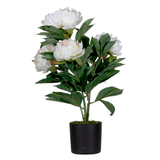 Artikelbild 1 für meet powered by PAPERFLOW PFINGSTROSE Kunstpflanze 55,0 cm, Artikelnummer 521876