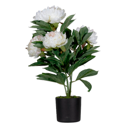 Artikelbild 14 für meet powered by PAPERFLOW PFINGSTROSE Kunstpflanze 55,0 cm, Artikelnummer 521876