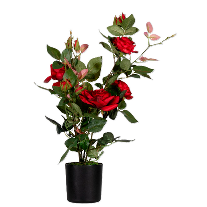 Artikelbild für meet powered by PAPERFLOW ROSENSTOCK Kunstpflanze 54,0 cm, Artikelnummer 521889