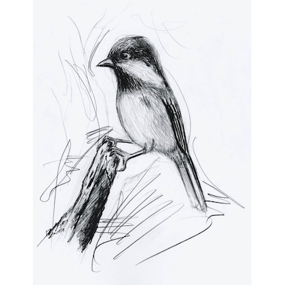 Artikelbild 4 für STAEDTLER MARSMICRO Druckbleistift blau HB 0,5 mm, 1 St., Artikelnummer 125617