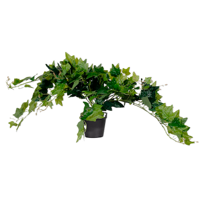 Artikelbild 16 für meet powered by PAPERFLOW EFEU Kunstpflanze 80,0 cm, Artikelnummer 521457