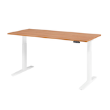 Artikelbild 1 für HAMMERBACHER XMKA19 elektrisch höhenverstellbarer Schreibtisch nussbaum rechteckig, C-Fuß-Gestell weiß 180,0 x 80,0 cm, Artikelnummer 543872