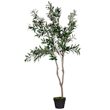 Artikelbild 1 für meet powered by PAPERFLOW OLIVENBAUM Kunstbaum 155,0 cm, Artikelnummer 521488