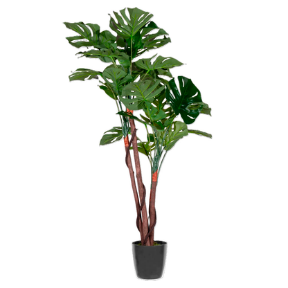 Artikelbild 2 für meet powered by PAPERFLOW MONSTERA Kunstpflanze 130,0 cm, Artikelnummer 521478