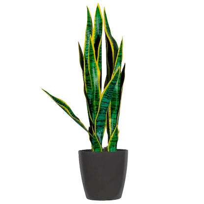 Artikelbild 3 für meet powered by PAPERFLOW SANSEVIERIA Kunstpflanze 65,0 cm, Artikelnummer 521809