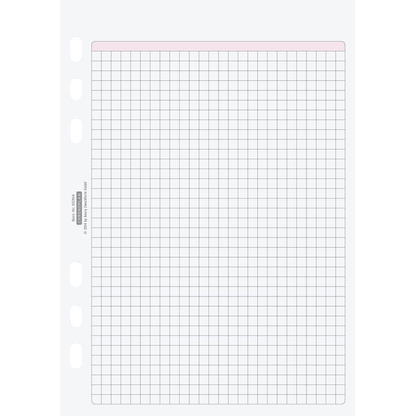 Artikelbild 2 für 50 CHRONOPLAN Ringbuch-Ergänzungsblätter kariert A5, Artikelnummer 362616