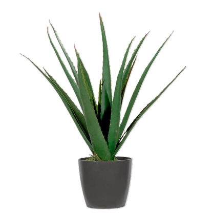 Artikelbild 2 für meet powered by PAPERFLOW ALOE VERA Kunstpflanze 45,0 cm, Artikelnummer 521787