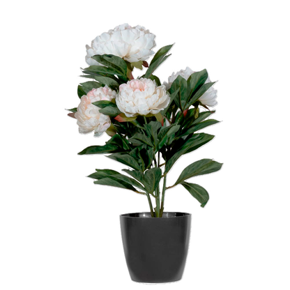 Artikelbild 2 für meet powered by PAPERFLOW PFINGSTROSE Kunstpflanze 55,0 cm, Artikelnummer 521876