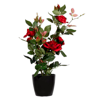 Artikelbild 2 für meet powered by PAPERFLOW ROSENSTOCK Kunstpflanze 54,0 cm, Artikelnummer 521889