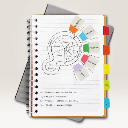 Artikelbild 5 für AVERY Zweckform UltraTabs Mini Haftmarker farbsortiert 40 Blatt, Artikelnummer 164444