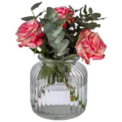 Artikelbild 4 für APS Vorratsglas transparent Cookiego, Artikelnummer 646057