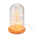 Artikelbild 1 für goobay LED Dekoleuchte transparent, Artikelnummer 725311