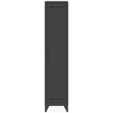 Artikelbild 1 für BISLEY Stahlschrank Fern Locker FERLOC634 anthrazitgrau 38,0 x 51,0 x 180,0 cm, aufgebaut, Artikelnummer 145447