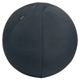 Artikelbild 1 für LEITZ Ergo Active Sitzball dunkelgrau 55,0 cm, Artikelnummer 998637