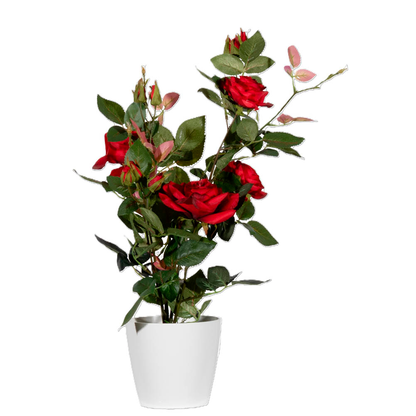 Artikelbild 3 für meet powered by PAPERFLOW ROSENSTOCK Kunstpflanze 54,0 cm, Artikelnummer 521889