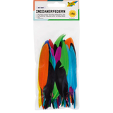 Artikelbild 1 für folia Federn mehrfarbig Indianerfedern bunt 10 g, Artikelnummer 479227