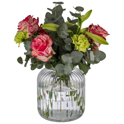 Artikelbild 5 für APS Vorratsglas transparent Cookiego, Artikelnummer 645829