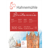 Artikelbild 1 für HAHNEMÜHLE Aquarellblock 30,0 x 40,0 cm, Artikelnummer 708828