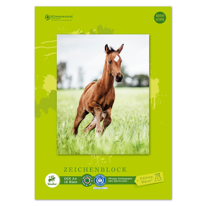 Artikelbild 5 für Edition Dürer Zeichenblock green DIN A4, Artikelnummer 421519