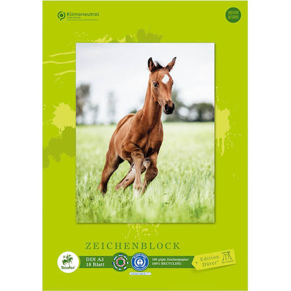 Artikelbild 2 für Edition Dürer Zeichenblock green DIN A3, Artikelnummer 421523