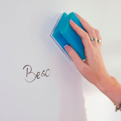 Artikelbild 4 für 2 FRANKEN Tafelschwamm, Artikelnummer 533238