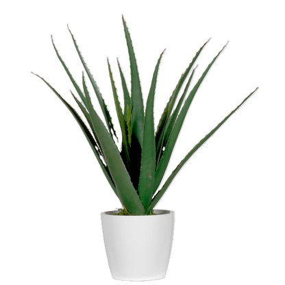 Artikelbild 3 für meet powered by PAPERFLOW ALOE VERA Kunstpflanze 45,0 cm, Artikelnummer 521787