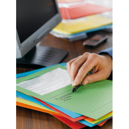 Artikelbild 3 für 100 ELCO Sichthüllen Ordo classico DIN A4 farbsortiert glatt 120 g/qm, Artikelnummer 116004