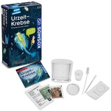 Artikelbild 1 für KOSMOS Experimentierkasten Urzeit-Krebse mehrfarbig, Artikelnummer 197511
