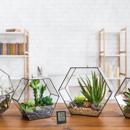 Artikelbild 2 für TFA® 30.5039 Hygrometer schwarz, Artikelnummer 338014