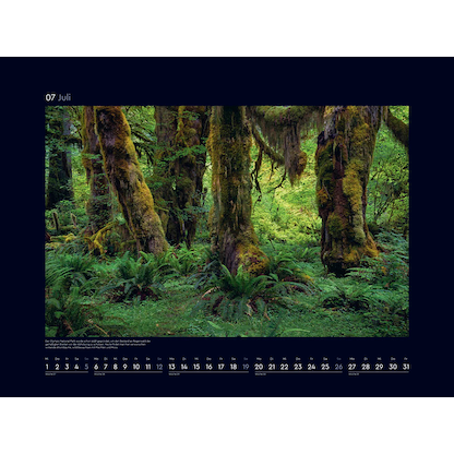 Artikelbild 8 für KUNTH Monats-Wandkalender Farben der Erde 2026, Artikelnummer 575698