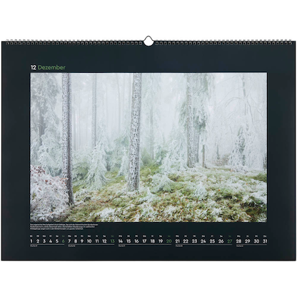 Artikelbild 13 für KUNTH Monats-Wandkalender Magische Wälder 2026, Artikelnummer 575924