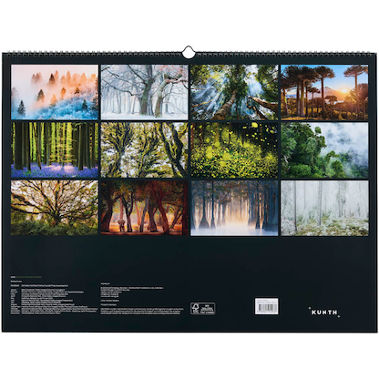 Artikelbild 14 für KUNTH Monats-Wandkalender Magische Wälder 2026, Artikelnummer 575924