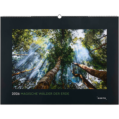 Artikelbild 3 für KUNTH Monats-Wandkalender Magische Wälder 2026, Artikelnummer 575924