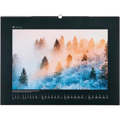 Artikelbild 2 für KUNTH Monats-Wandkalender Magische Wälder 2026, Artikelnummer 575924