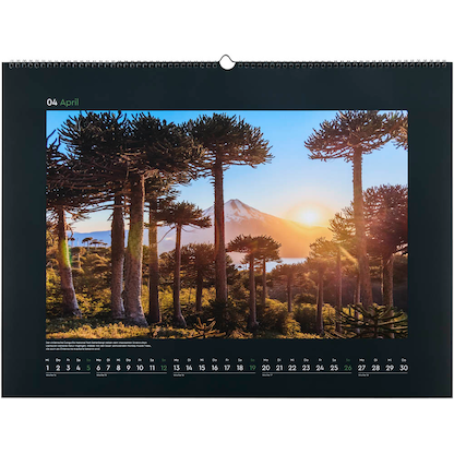 Artikelbild 5 für KUNTH Monats-Wandkalender Magische Wälder 2026, Artikelnummer 575924