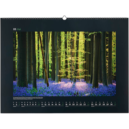 Artikelbild 6 für KUNTH Monats-Wandkalender Magische Wälder 2026, Artikelnummer 575924