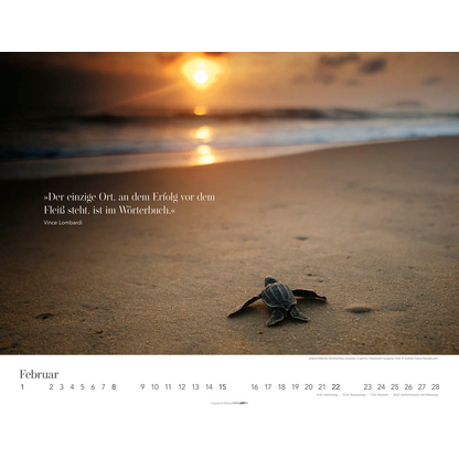 Artikelbild 3 für Weingarten Monats-Wandkalender Wege des Erfolgs 2026, Artikelnummer 551087