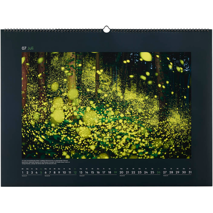 Artikelbild 8 für KUNTH Monats-Wandkalender Magische Wälder 2026, Artikelnummer 575924