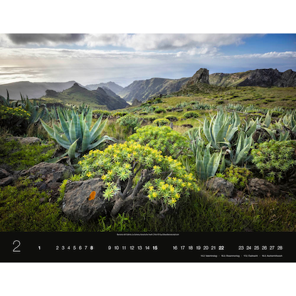 Artikelbild 3 für Monats-Wandkalender Rund um die Welt 2026, Artikelnummer 551103