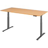 Artikelbild 1 für BaseLite elektrisch höhenverstellbarer Schreibtisch buche rechteckig, T-Fuß-Gestell grau 180,0 x 80,0 cm, Artikelnummer 270888