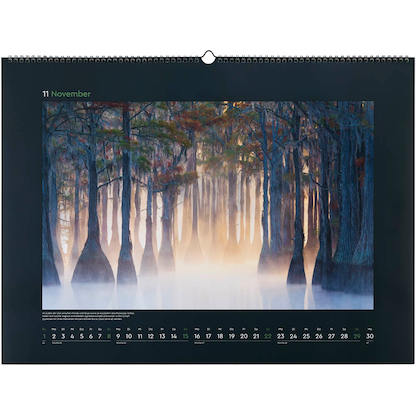 Artikelbild 12 für KUNTH Monats-Wandkalender Magische Wälder 2026, Artikelnummer 575924