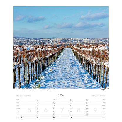 Artikelbild 3 für ATHESIA TAPPEINER Monats-Wandkalender Österreich 2026, Artikelnummer 554141