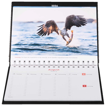 Artikelbild 10 für KUNTH Tischquerkalender Hurtigruten 2026, Artikelnummer 575658