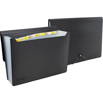 Artikelbild für RAPESCO® Fächermappe Germ-Savvy 13 Fächer schwarz, Artikelnummer 438372