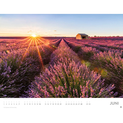 Artikelbild 7 für Heye Monats-Wandkalender Sonnenzauber 2026, Artikelnummer 551137